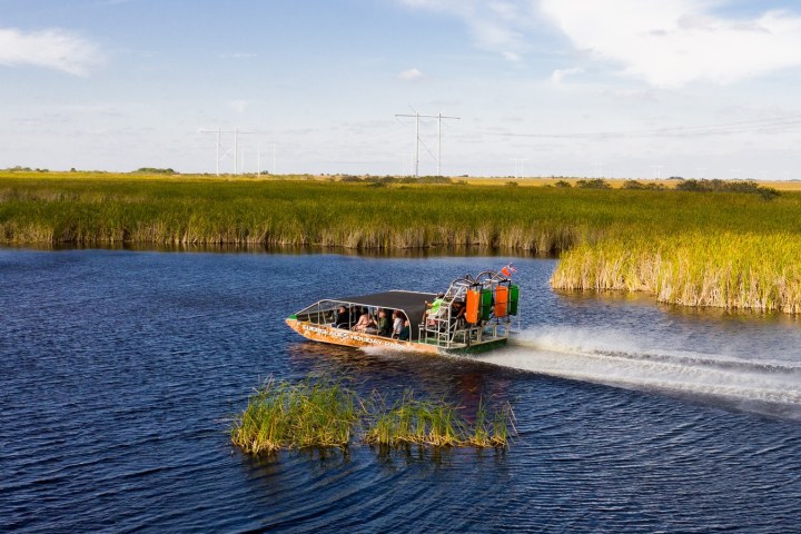 Airboat speeding through wetlands with tall grass and blue sky.