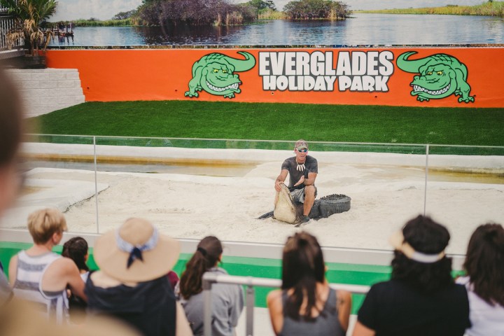 Person holding an alligator at Everglades Holiday Park show.