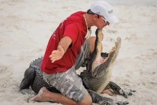 Man in red shirt on sandy ground holding an alligator's open jaws.