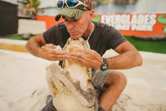 Person wearing a cap holding an alligator's mouth open with hands.