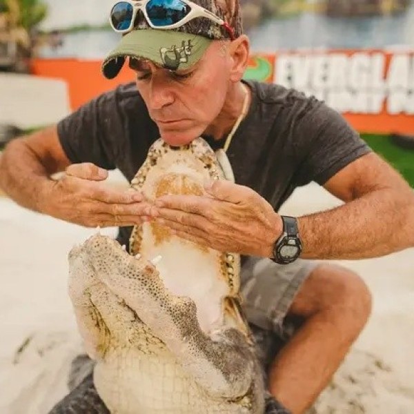 Person wearing a cap holding an alligator's mouth open with hands.