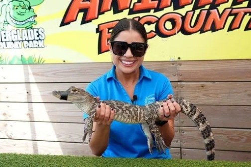 Woman holding a small alligator at Everglades Holiday Park.
