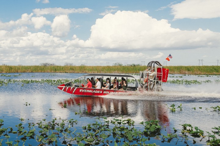 Airboat with passengers glides through marshy water with clouds overhead.