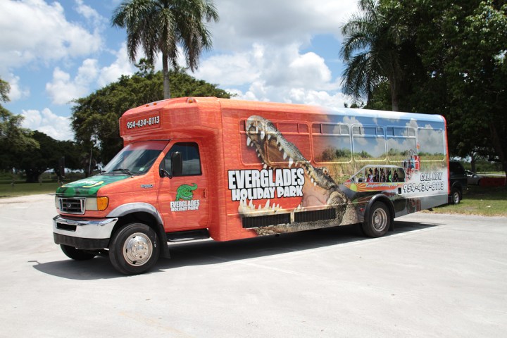 Colorful tourist bus with alligator graphic parked outdoor.