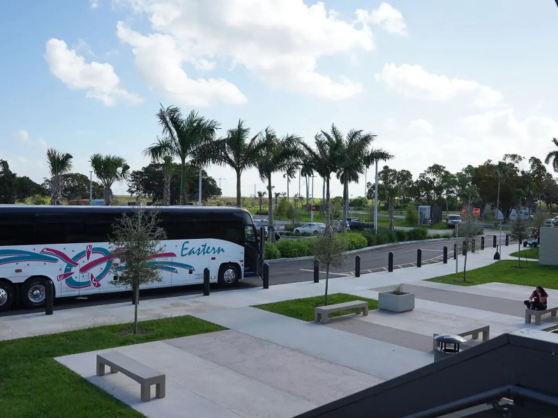 A bus parked near palm trees on a sunny day, with benches and a few people nearby.