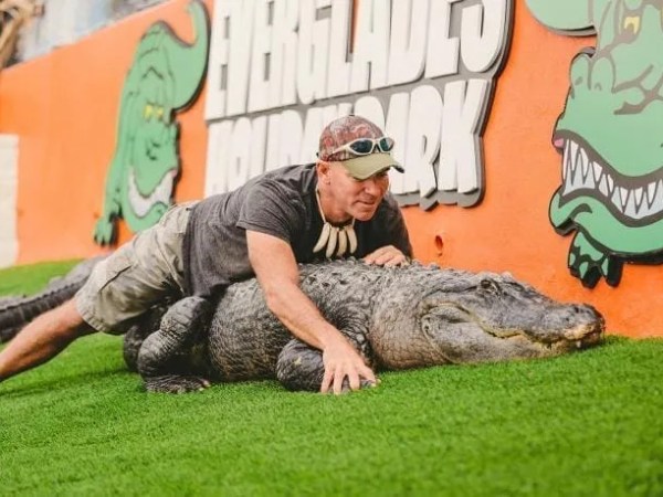 Person playfully lying on top of a large alligator near a colorful sign.