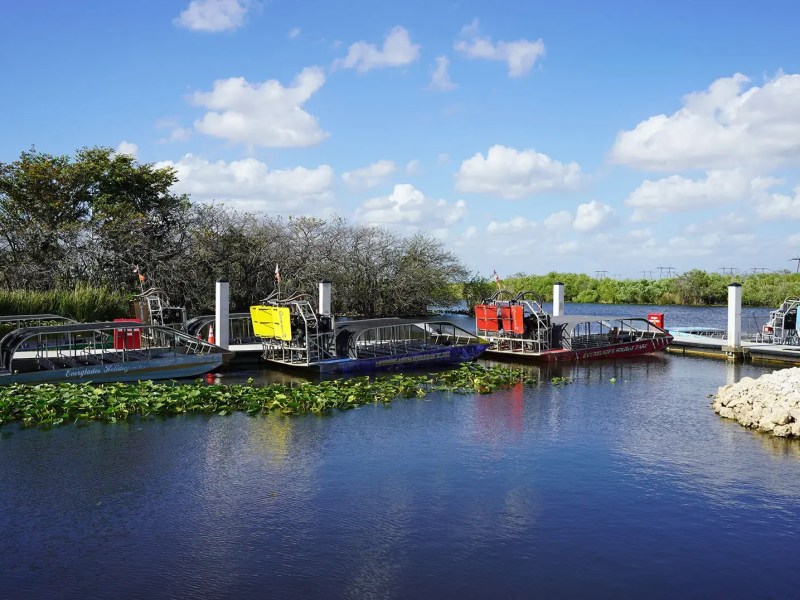 Airboats docked along a river with trees and a cloudy sky.