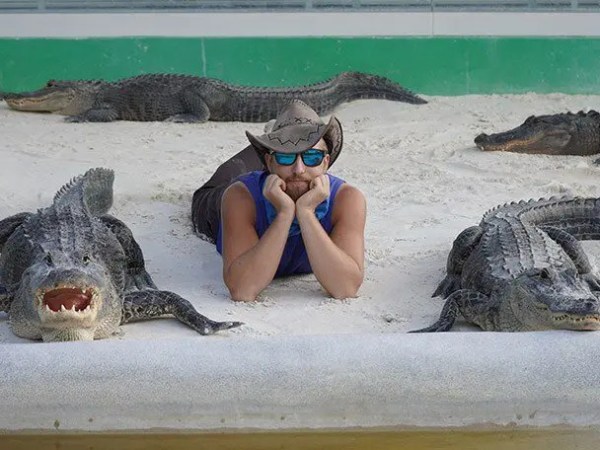 Person in hat and sunglasses lying among several alligators on sandy ground.