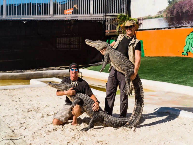 Two men posing with alligators on a sandy surface at a park.