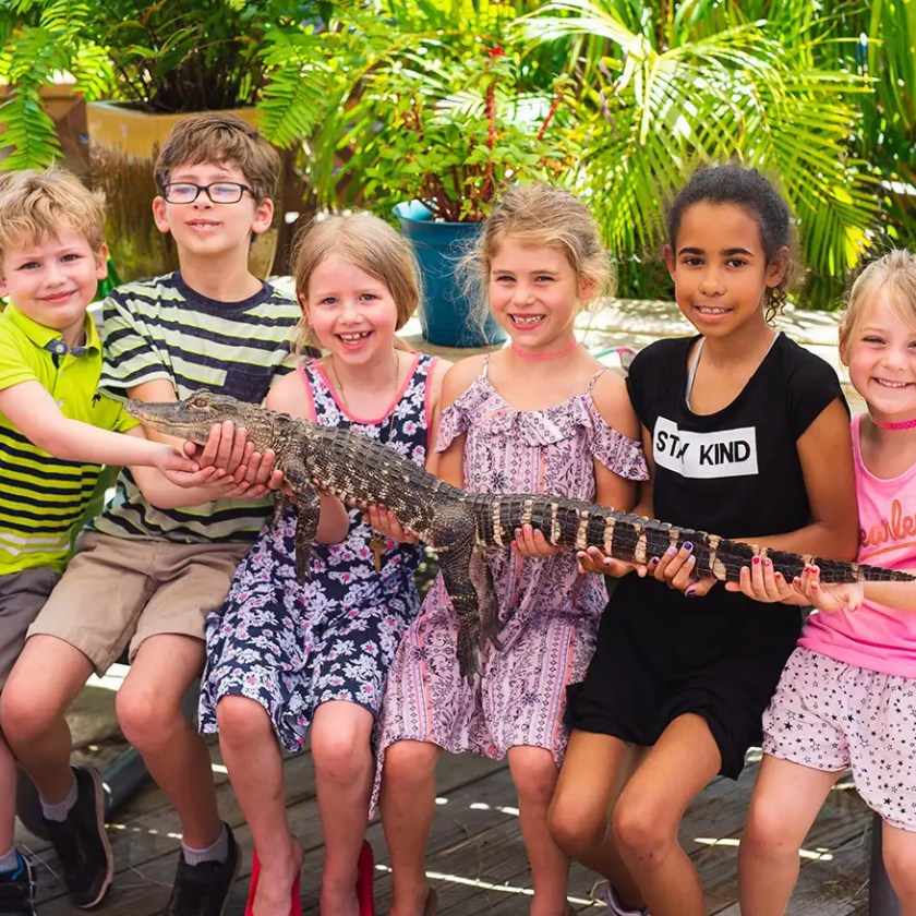 Six children sitting together, holding a small alligator.