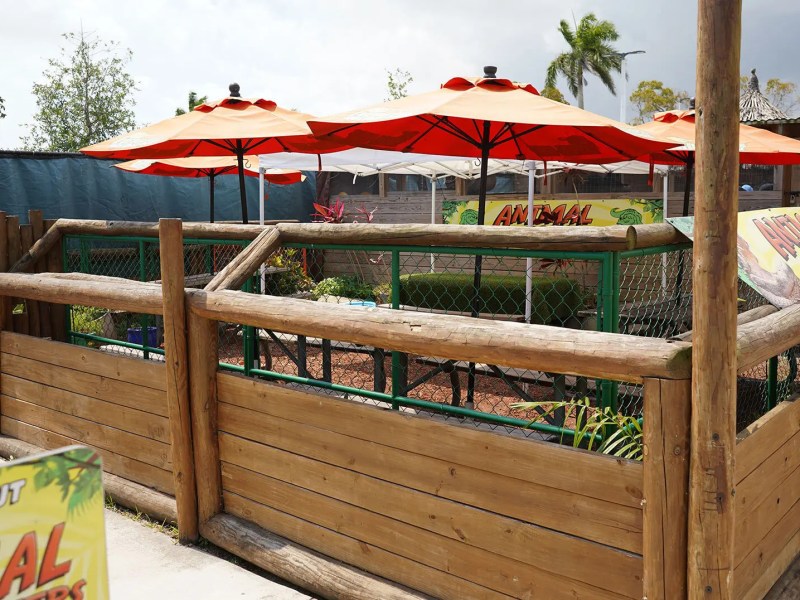 Outdoor area with red umbrellas, wooden fence, and signs.