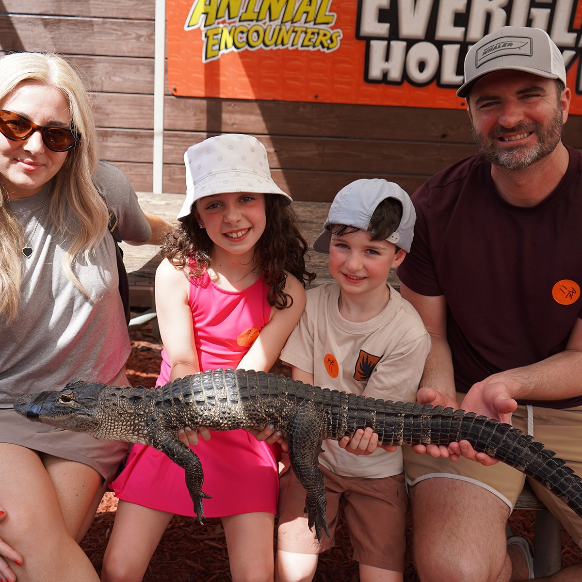Family of four holding a small alligator at a wildlife park.