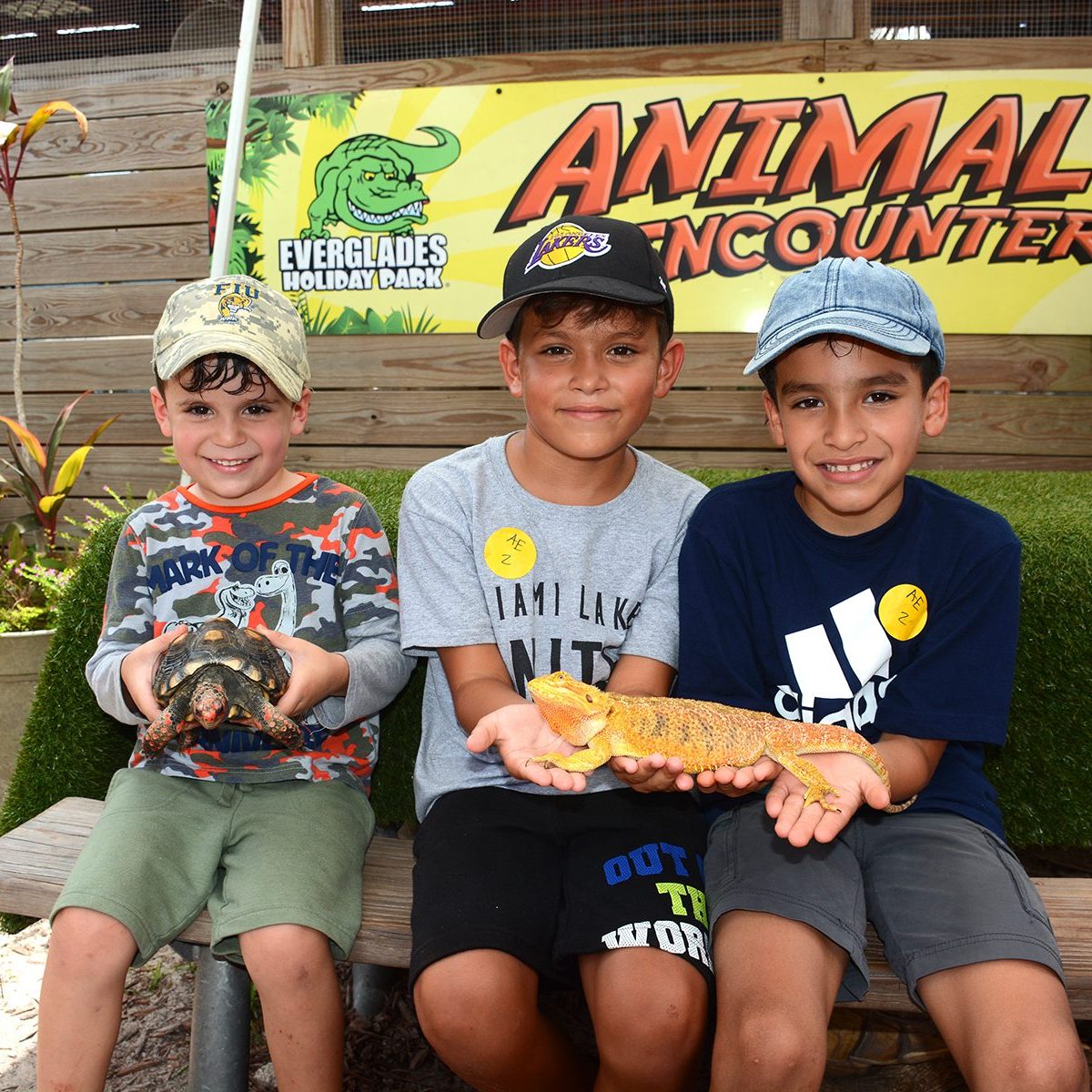Three boys sit on a bench holding reptiles outdoors at a farm.